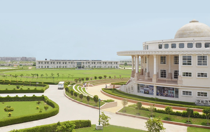 Noida International University